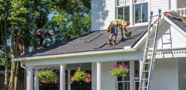 Best Local Roofing Companies  in Wilson, AR